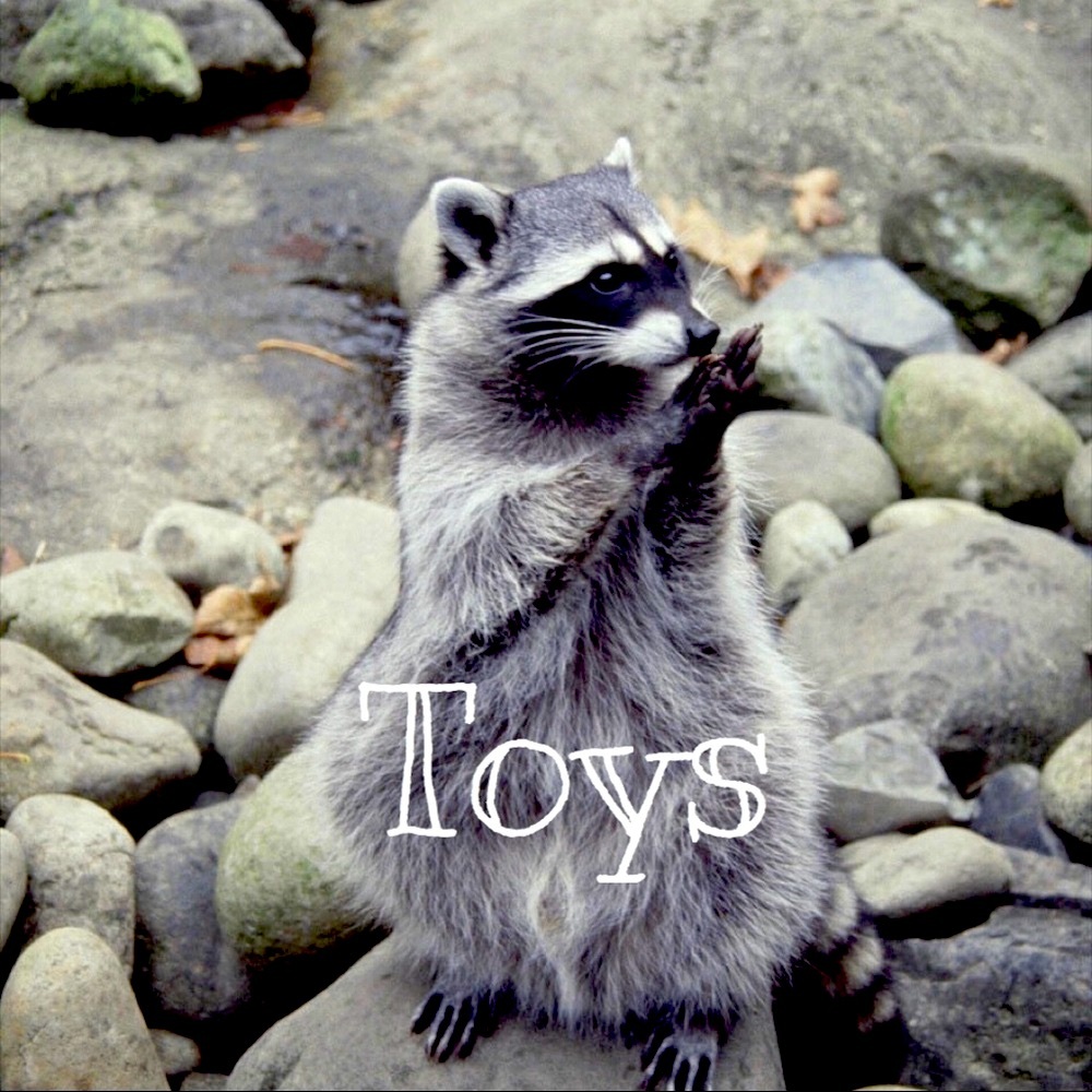 Toys and more!